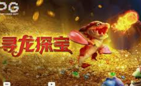 大小单双导师带赚包赔电脑免费版