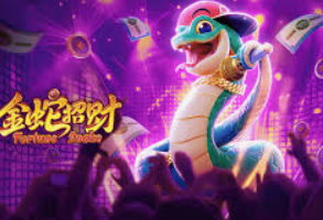 大小单双导师带赚包赔免费版