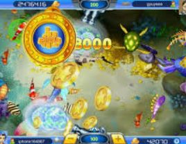 大小单双导师带赚包赔正式版