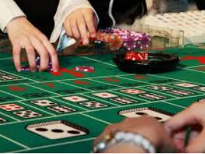 大小单双导师带赚包赔电脑免费版